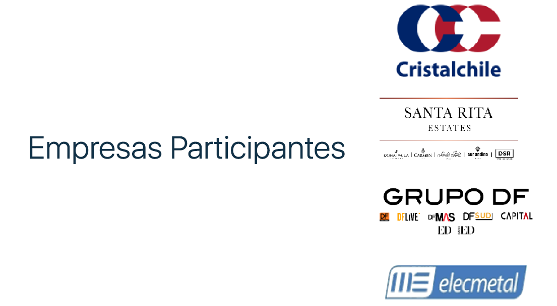 Participantes